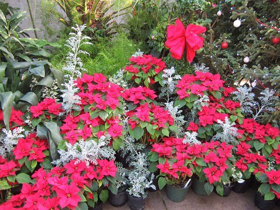 Vander Veer Botanical Park